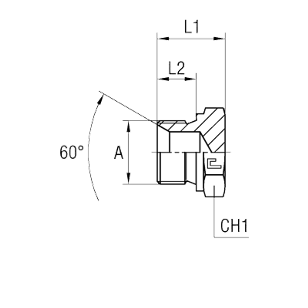 Заглушка V BSP 1/8"