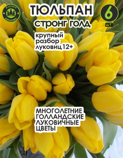 Тюльпан Луковица, Стронг Голд 6 шт, разбор 12+