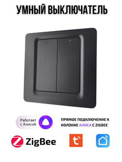 Умный выключатель Tuya ZigBeе для Алисы двухклавишный черный