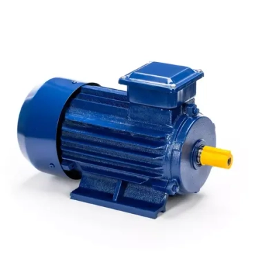 Электродвигатель 5АИ 63 В2 0,55/3000 IM1081