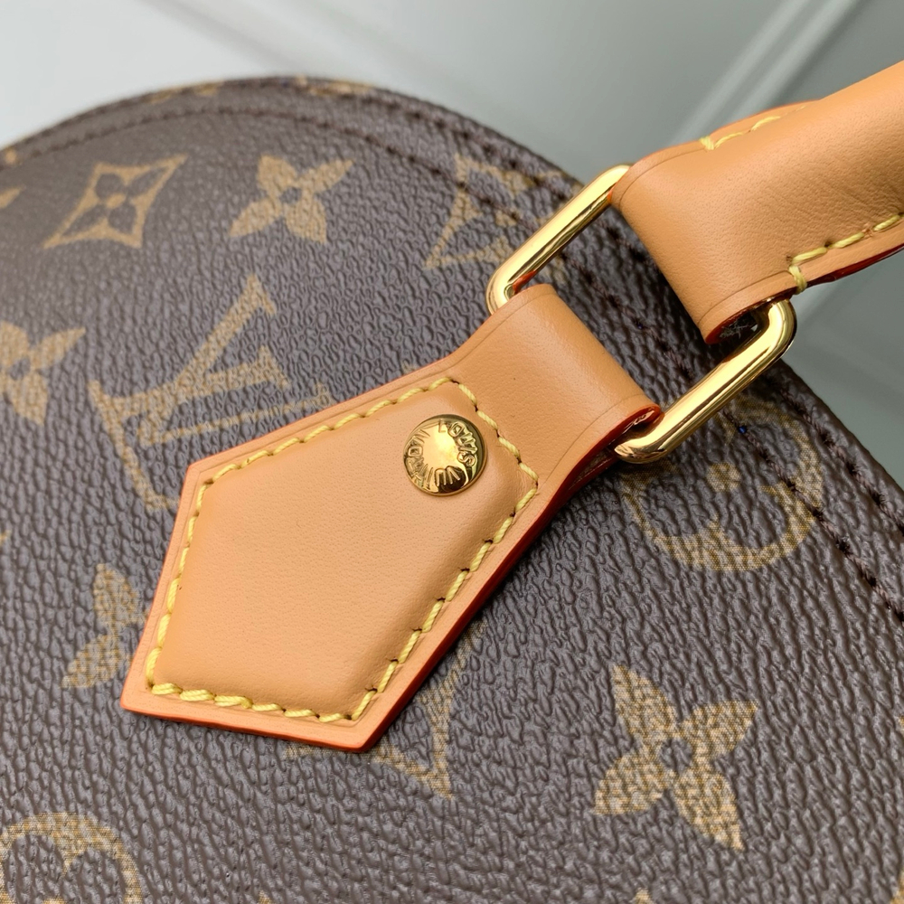 Louis Vuitton Alma MM