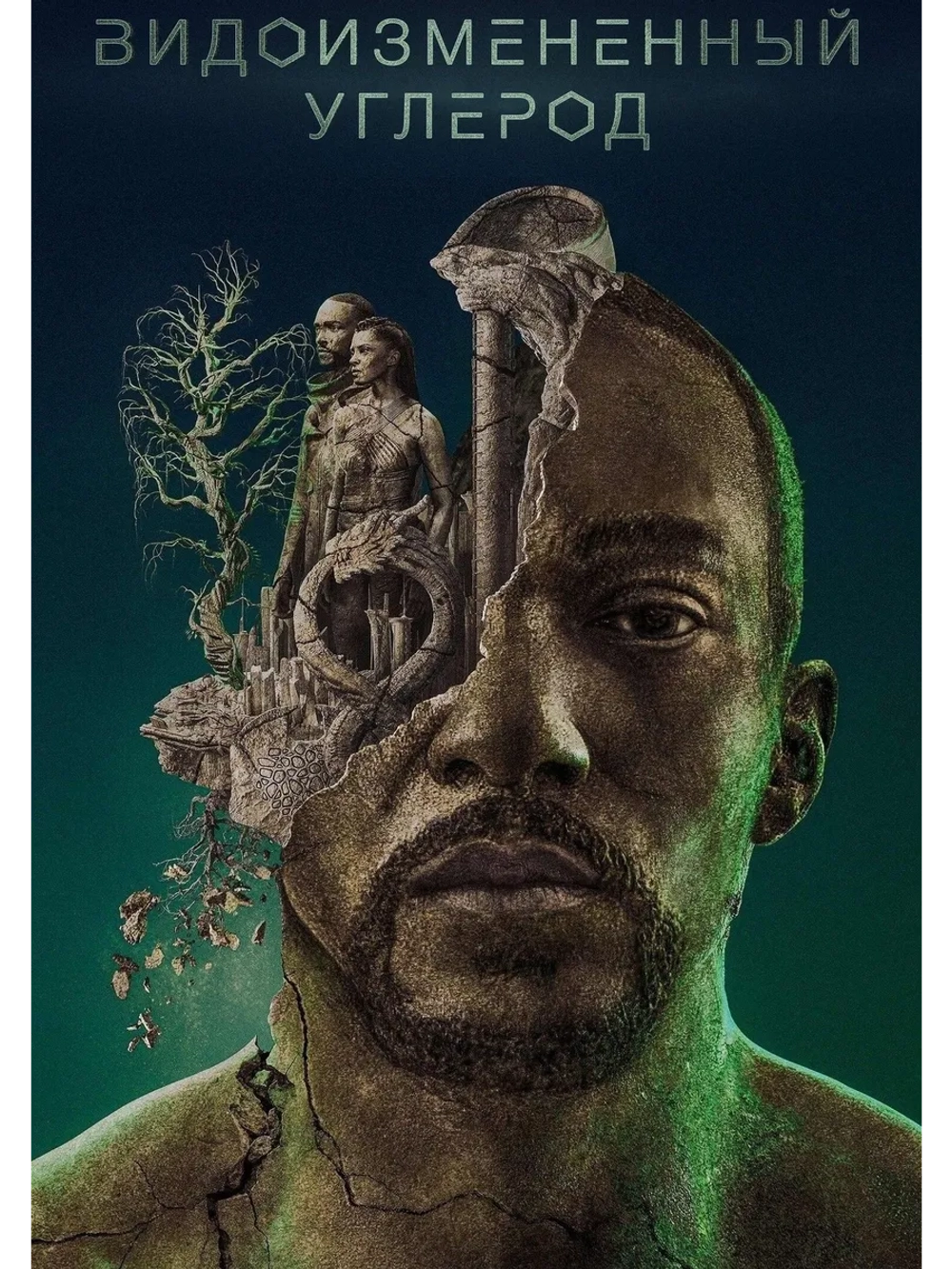 Видоизмененный углерод, 2 сезон (2018-2020) (4 DVD) (DVD-R)