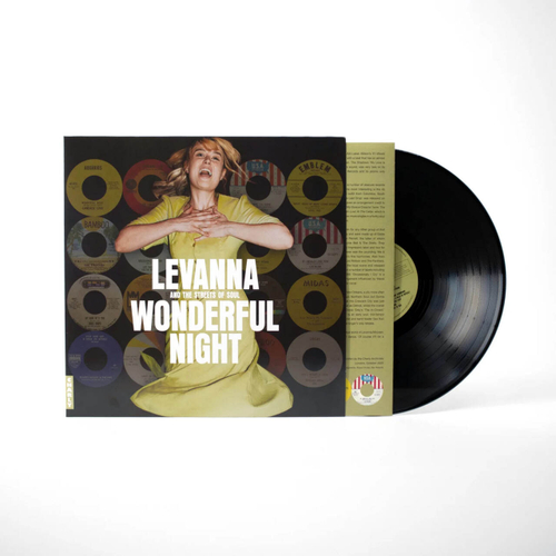 V/A - Wonderful Night - Nothern Soul Сompilation by Levanna McLean