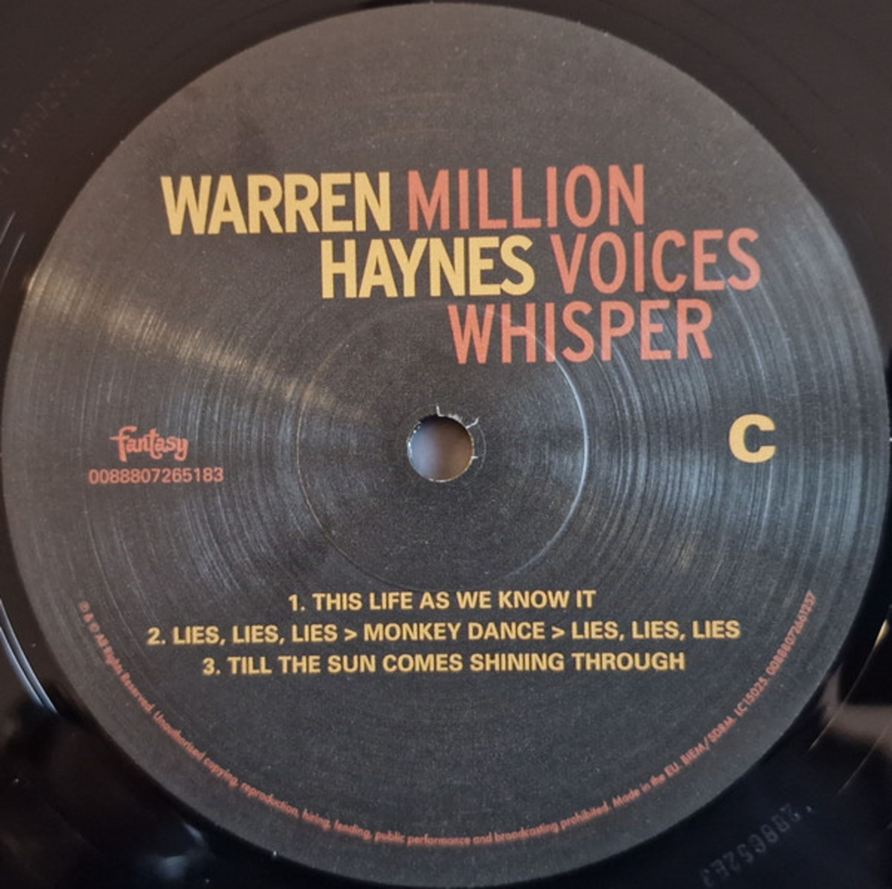 Warren Haynes / Million Voices Whisper (2LP)