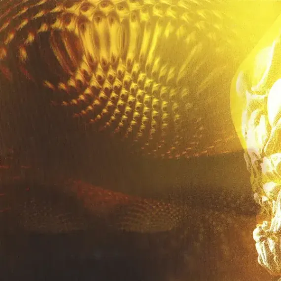 Tool - Fear Inoculum 3LP