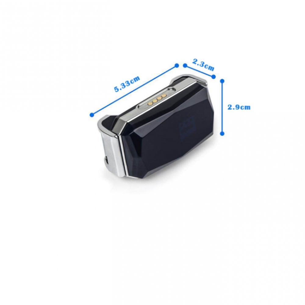 GPS G12P (кошка)