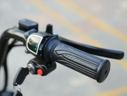 Электросамокат El-sport New Design Citycoco 1000W 60V, 12Ah