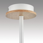 Потолочная люстра Lumion IRMA 8246/5C