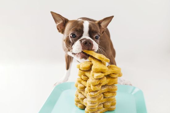 Подборка необычных лакомств