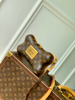 Louis Vuitton Bone Wearable Wallet