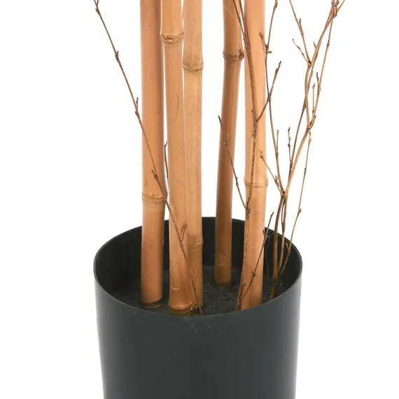 Бамбук высота 175 см