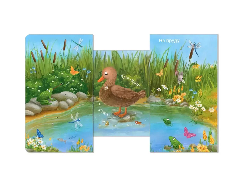 Книжки - задвижки. Кто где живёт?