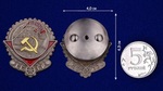Муляж Орден Трудового Красного Знамени образца 1928 года
