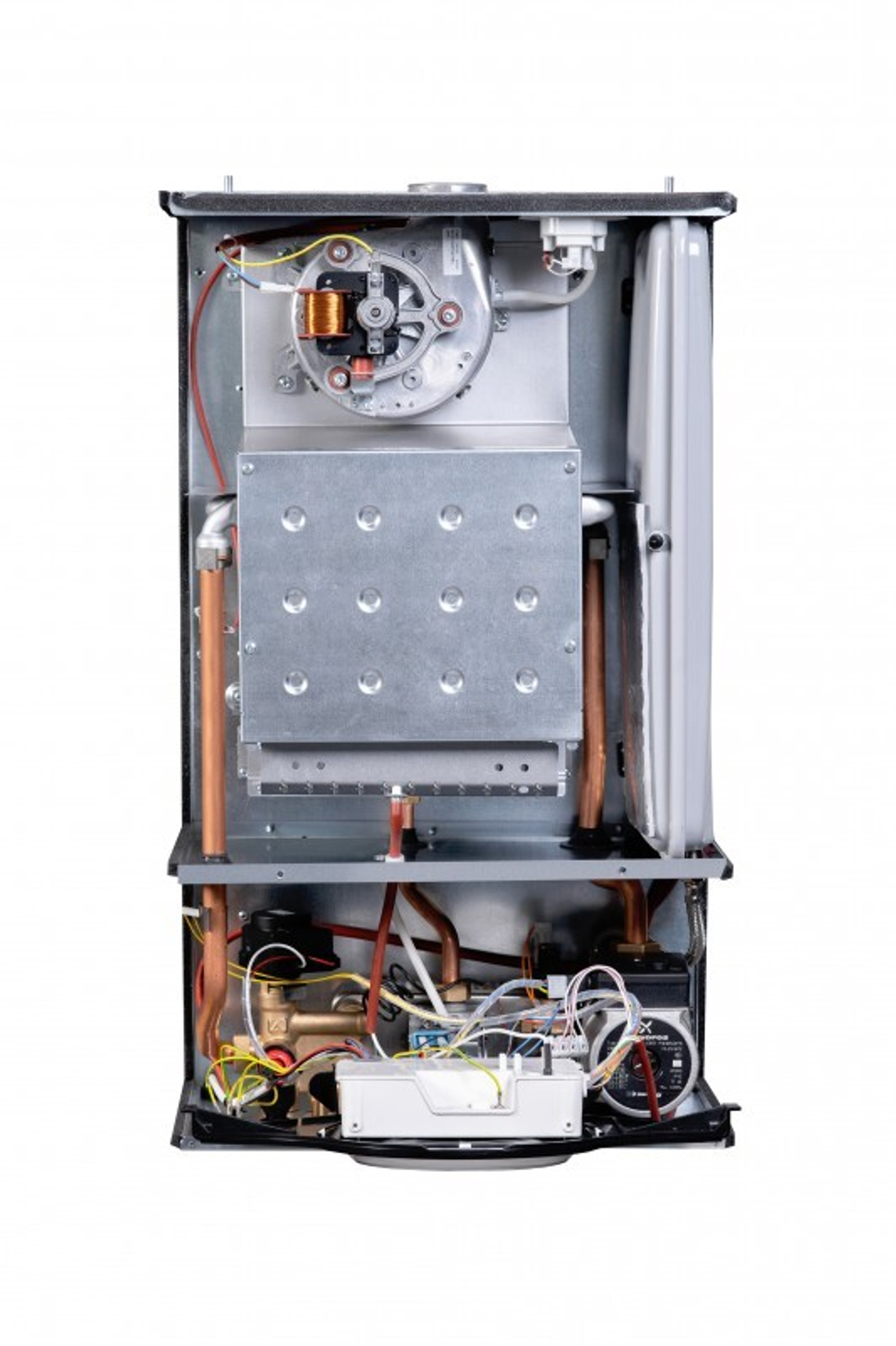 Federica Bugatti 24 VARME