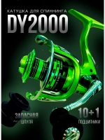 катушка DY2000