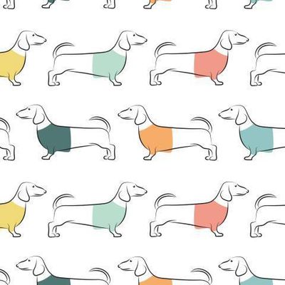 Таксы в разноцветных футболках