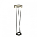 Торшер Lumion LEDIO 8370/30FL