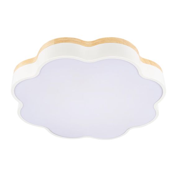 Потолочный светодиодный светильник Loft IT Axel 10225/36 White