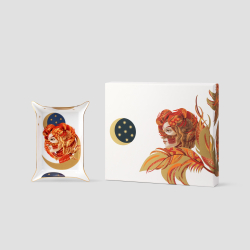 Вид-пош Farforite «Жар-птица» в подарочной коробке