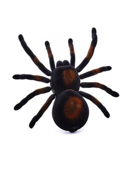 Игрушка радиоуправляемая Паук Тарантул (58620A)