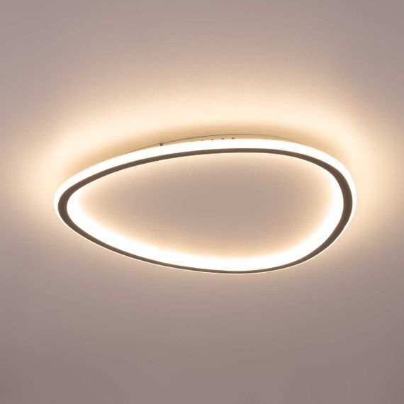 Потолочный светодиодный светильник Citilux Trio CL215B251E