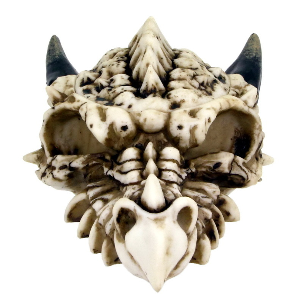 Шкатулка Дракон череп 20 см
