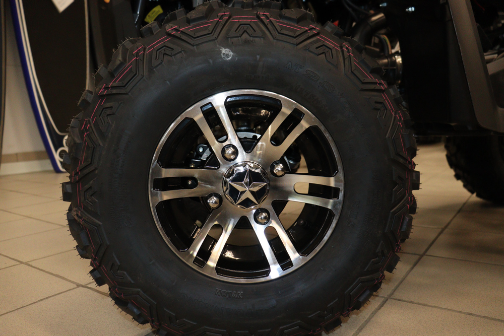 Квадроцикл PROMAX RENEGADE 300 LONG WINCH PRO (2025)