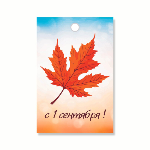 Бирка "с 1 сентября!"