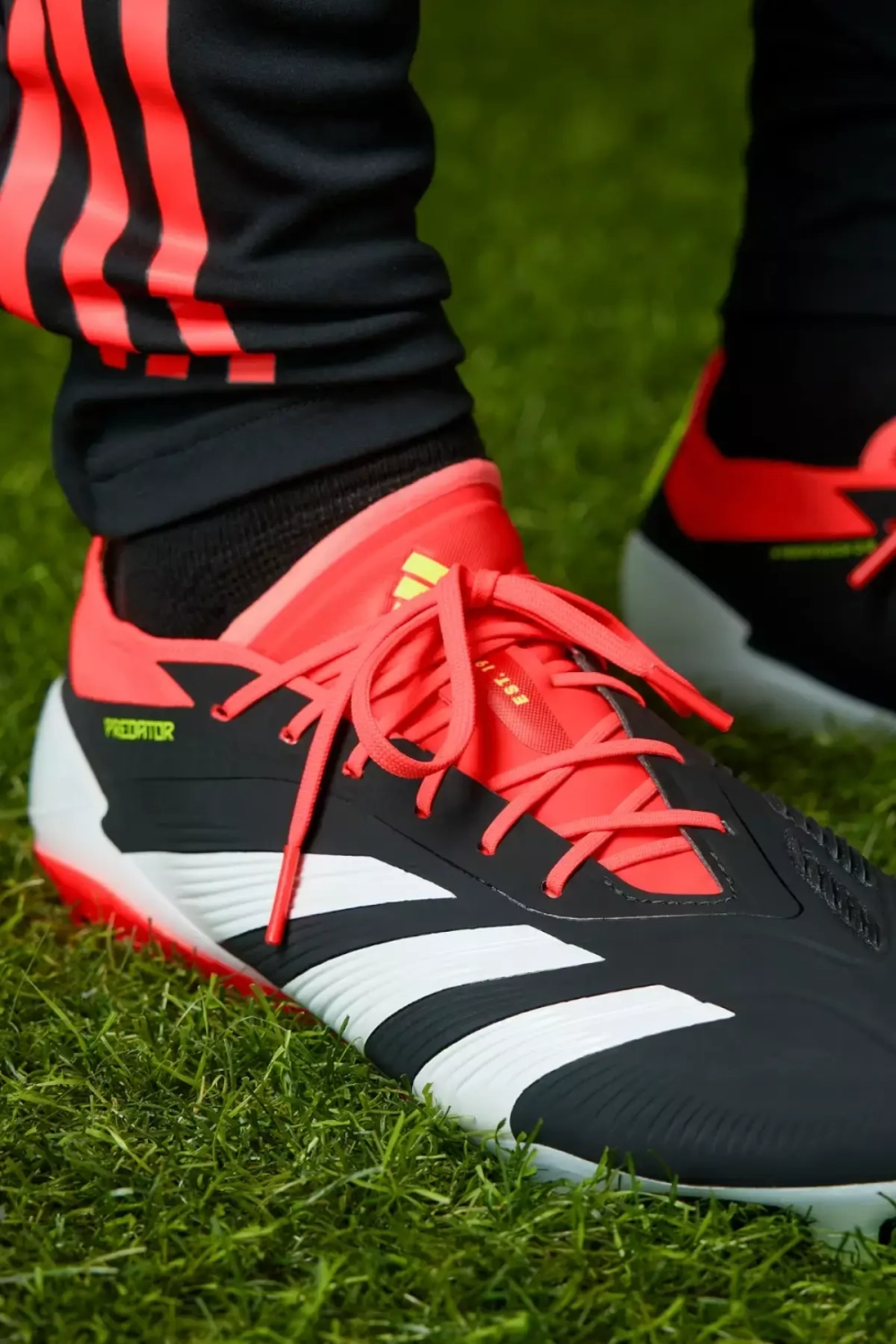 Бутсы adidas Predator Elite FG