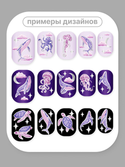 Киты 125