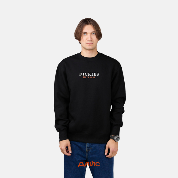 Толстовка мужская Dickies Park Sweatshirt артикул:DK0A4YEIBLK1 Толстовка мужская Dickies Park Sweatshirt артикул:DK0A4YEIBLK1 - купить в магазине Дайс