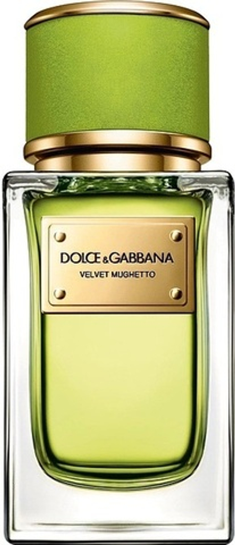 Dolce&Gabbana Velvet Mughetto