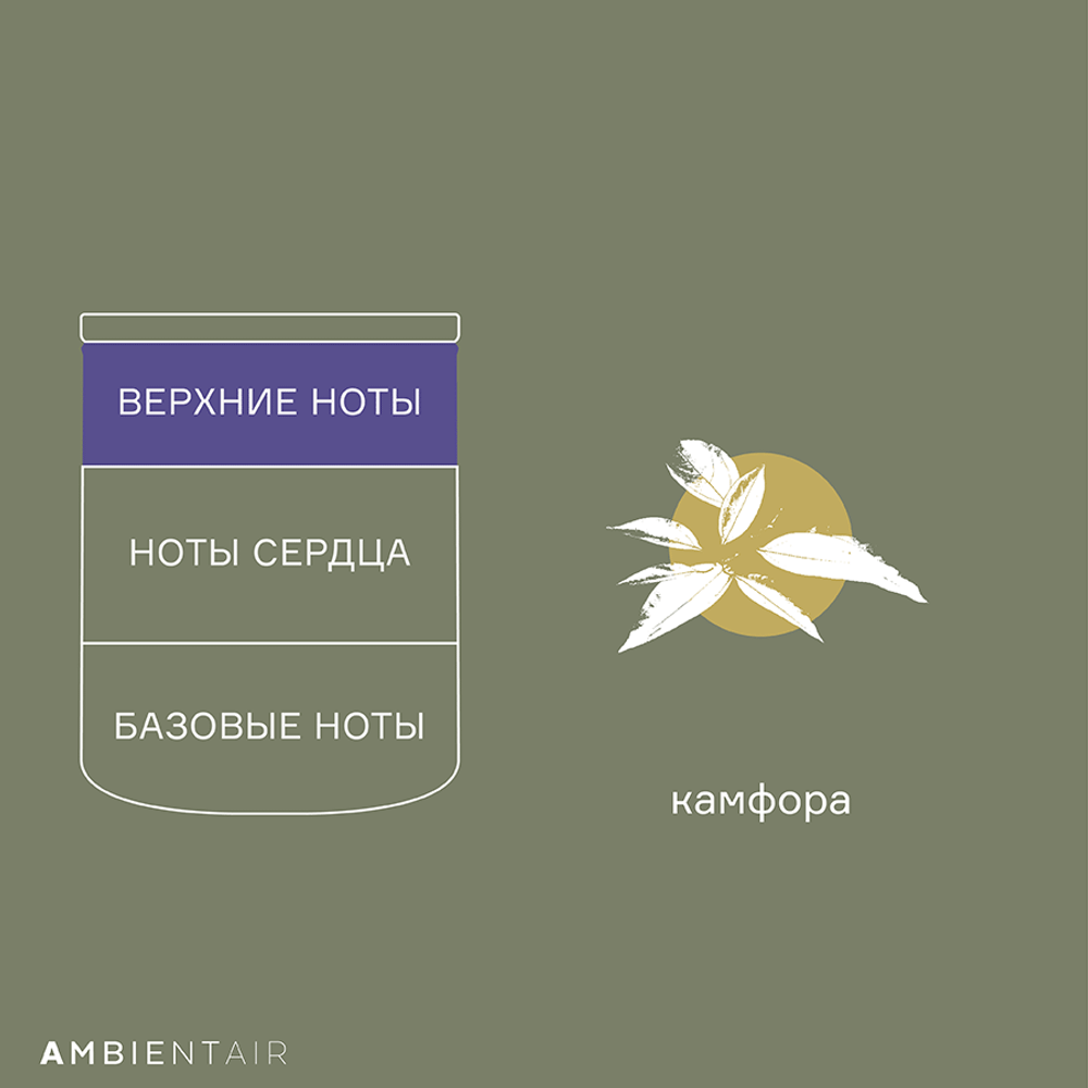 Свеча ароматическая enchanted forest, eль, 40 ч