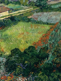 Картины-наклейки на стену для декора интерьерные №29