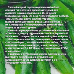 Огурец Муравей F1(5семян). Семена Алтая.