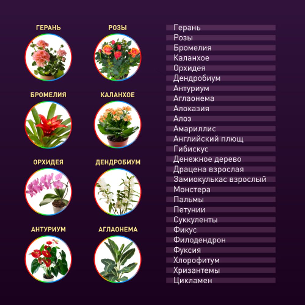 Настольный светильник для растений ЭРА FITO-20W-QLED-G полного спектра 20 Вт серый | Интерьерные фито светильники