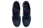 Кроссовки Nike Sb Force 58