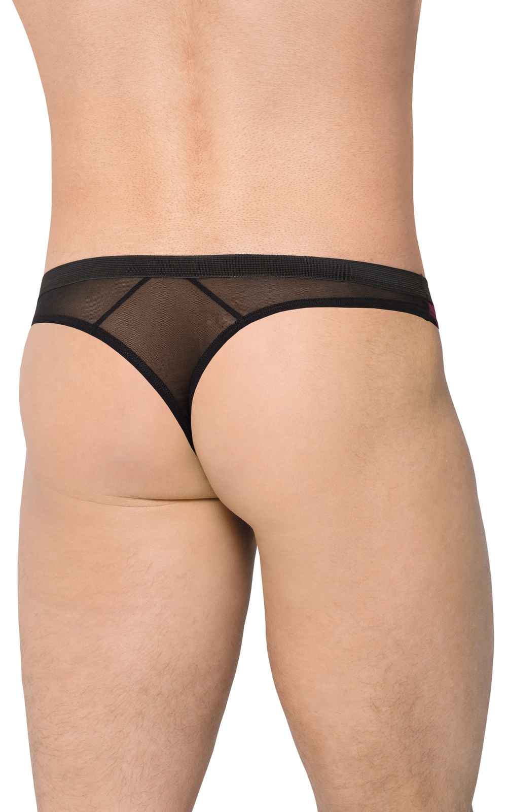 Трусы мужские кружевные SoftLine Collection, черный, L