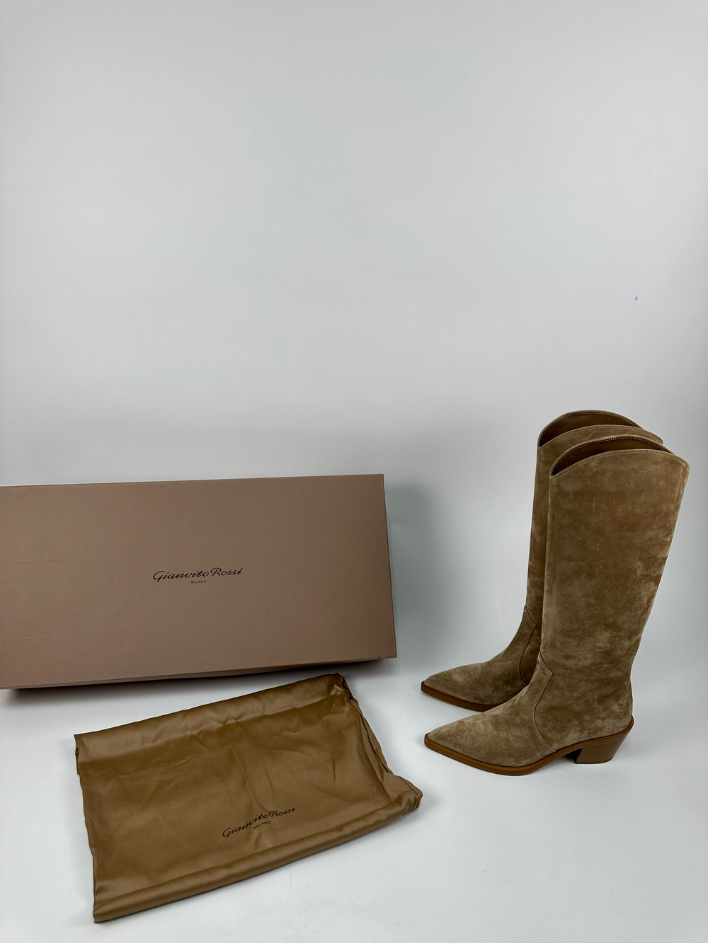 Сапоги Gianvito Rossi