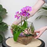 Готовый флорариум с пурпурной орхидеей Икос L