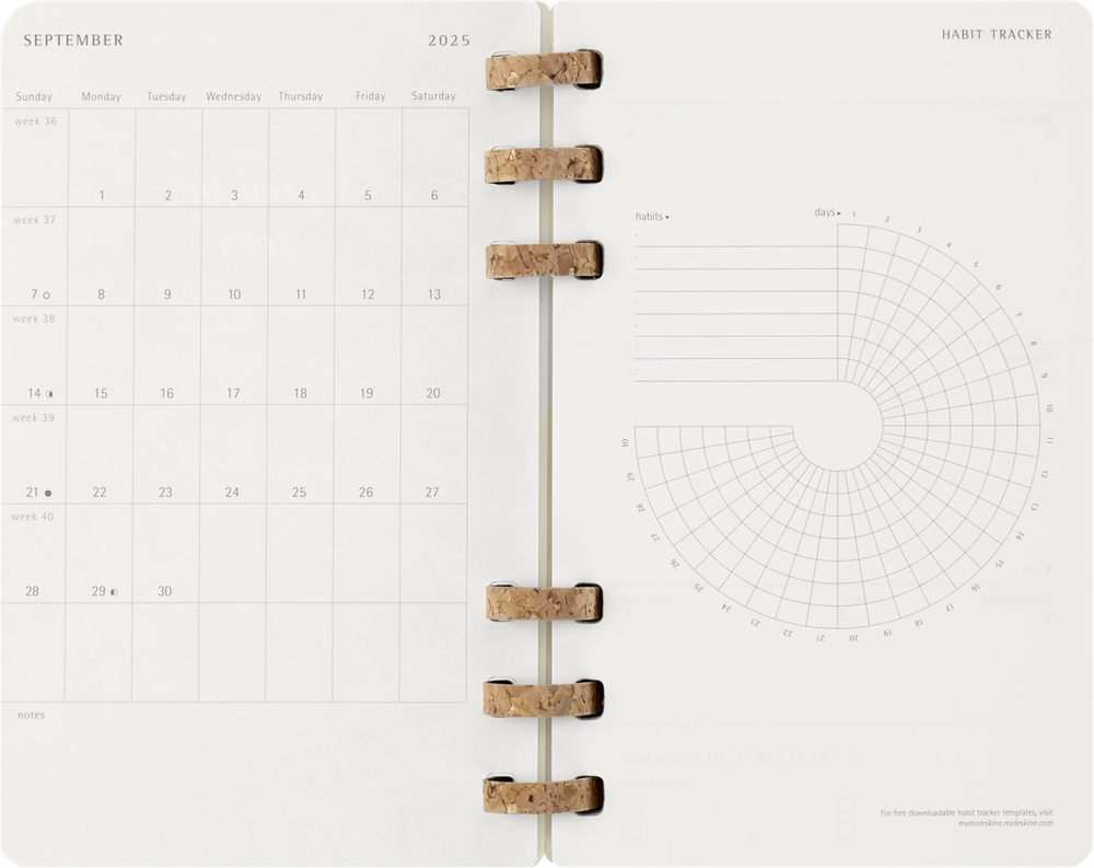 Еженедельник Moleskine ACADEMIC SPIRAL (DSSPB12AMWH3) Large 150х210мм 200стр кремовые страницы спираль черный