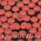 ЛС Стразы холодной фиксации, Красный Неон