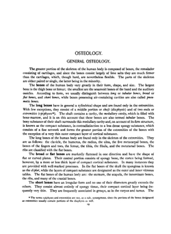 Atlas and Text-Book of Human Anatomy. Volume 1 | Johannes Sobotta