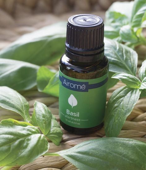 Базилик ароматическое масло, Candle Warmers