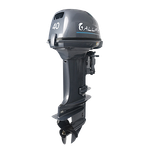Лодочный мотор ALLFA CG T40FWS