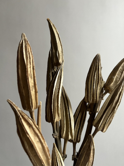 Бамия натуральная