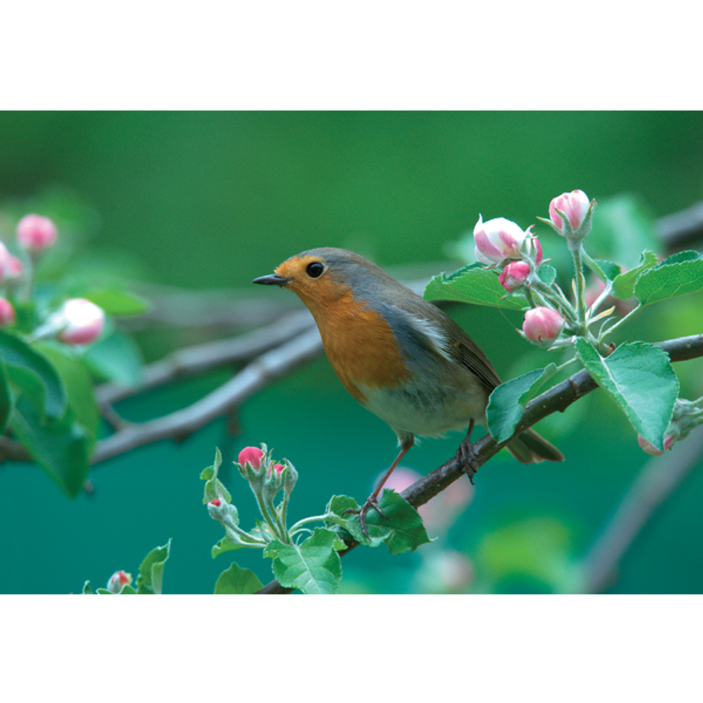 Календарь трехсекционный "ПРЕМИУМ" на 2026 год, "Малиновка"