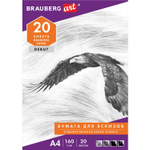 Папка для рисования А4 20 л. 160 г/м2 BRAUBERG 210х297 мм "Орел" (10 штук в упаковке)
