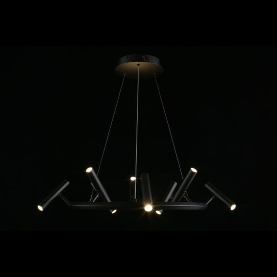 Подвесная светодиодная люстра Aployt Honor APL.067.03.40