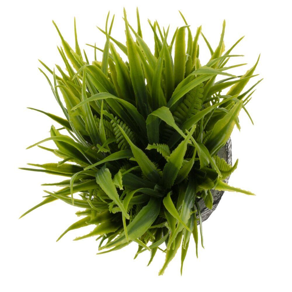 GAEM Цветочная композиция "Трава с папоротником", L12 W12 H17 см